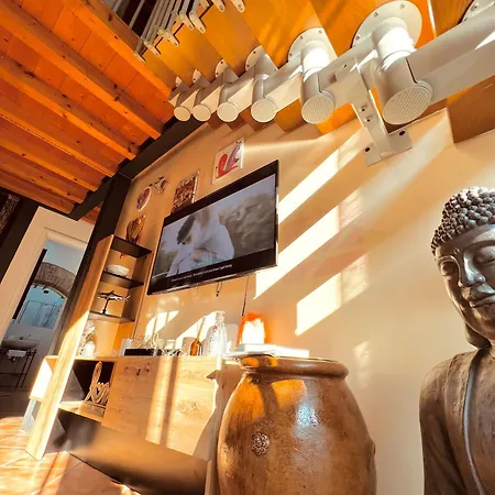 公寓 Loft Dei Lupi 260m Dal Duomo Freeparking 克雷莫纳